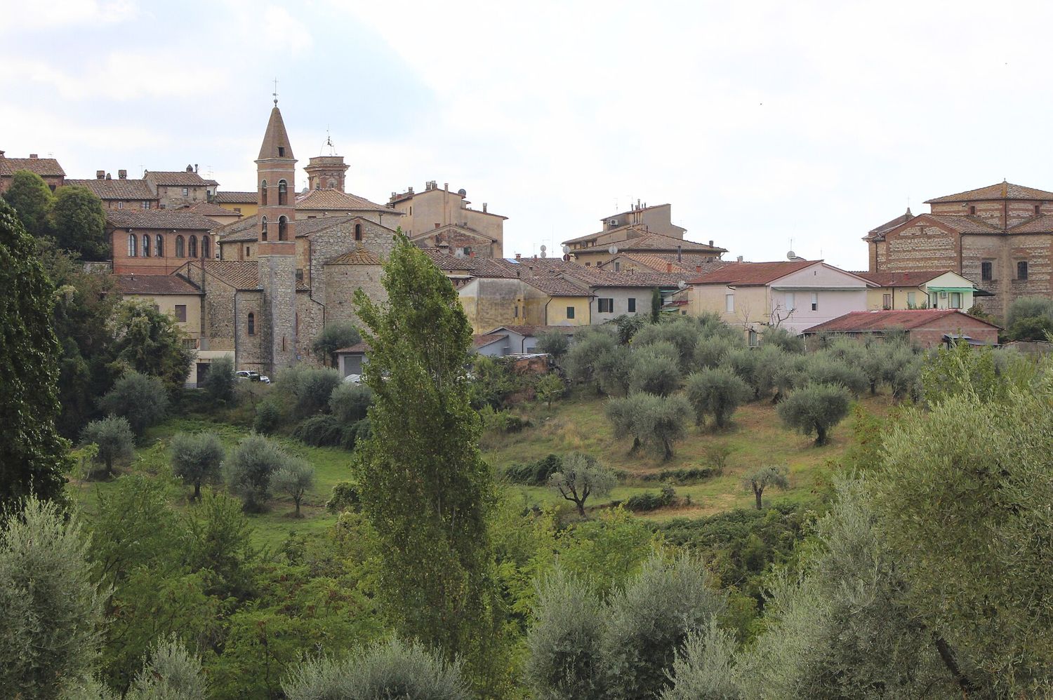 Panorama di Castelnuovo Berardenga tra ulivi e colline